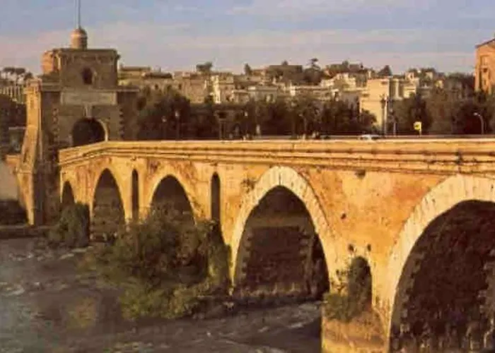 Vigna Stelluti